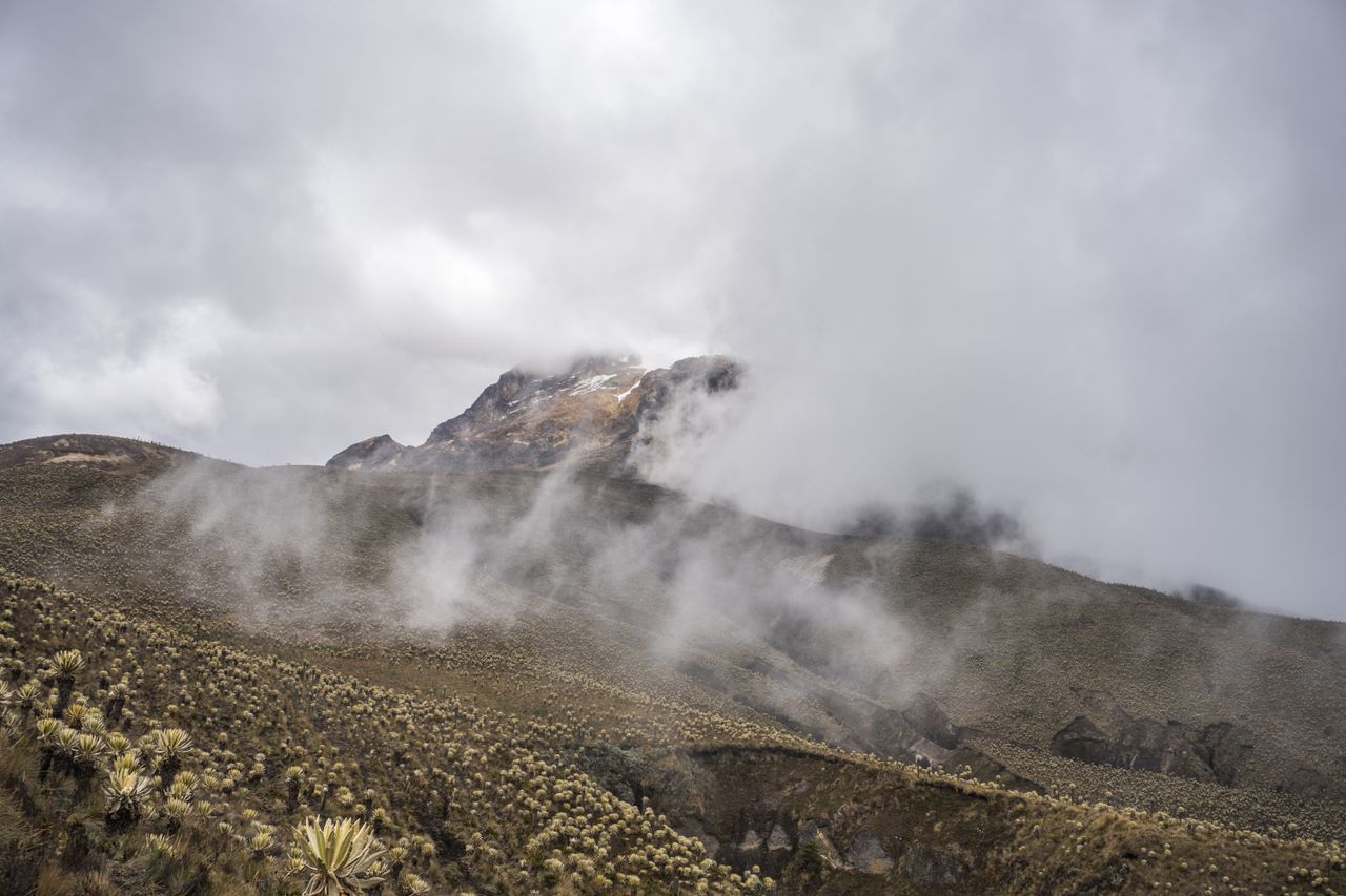 Explore the serene beauty of a mist-shrouded mountain landscape with unique vegetation and rugged terrain.